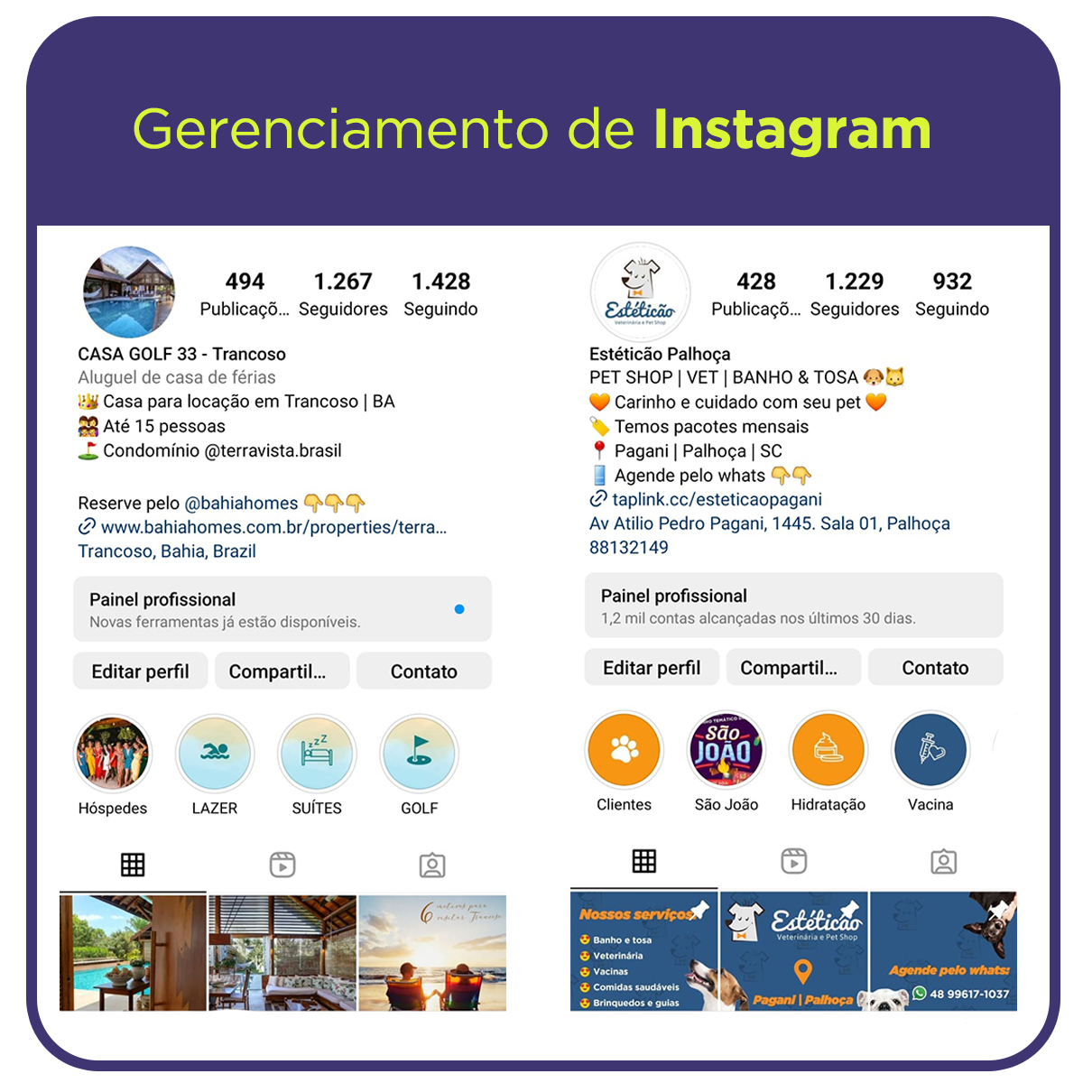 Gerenciamento de instagram
